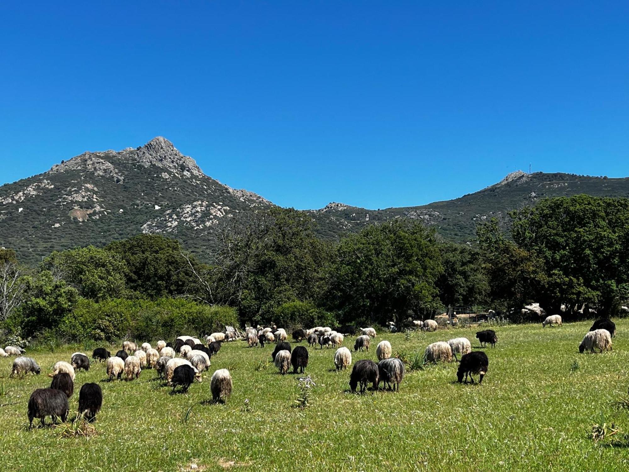 Location Du Ranch Ξενοδοχείο Algajola  Εξωτερικό φωτογραφία