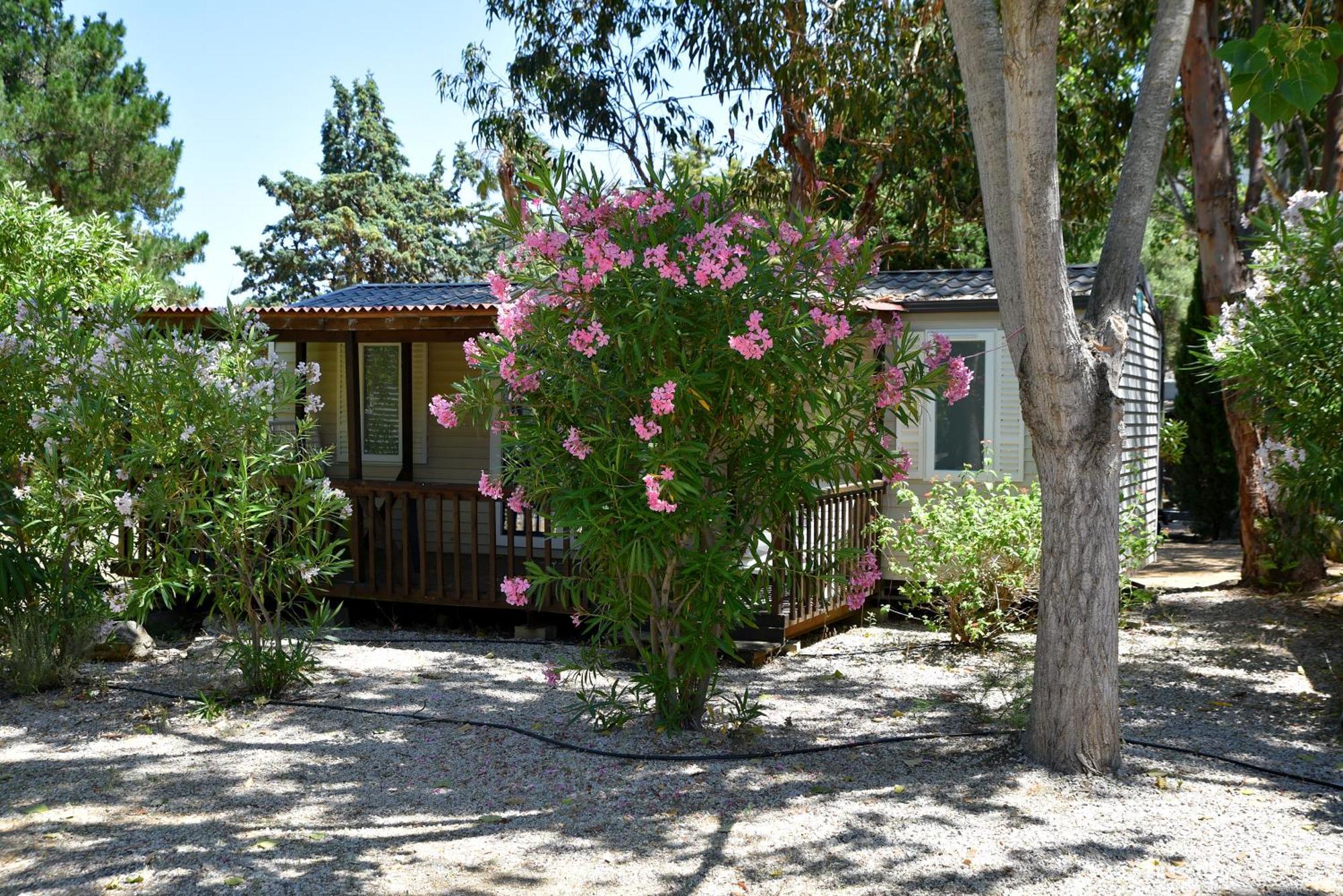 Location Du Ranch Ξενοδοχείο Algajola  Εξωτερικό φωτογραφία