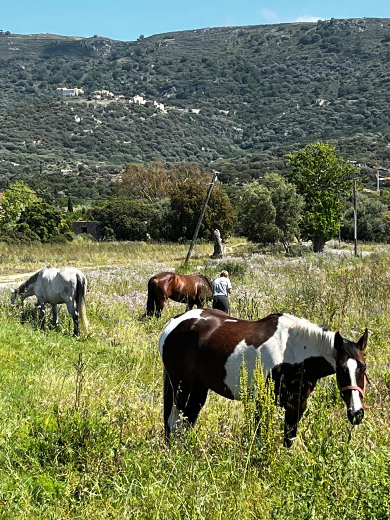 Location Du Ranch Ξενοδοχείο Algajola  Εξωτερικό φωτογραφία
